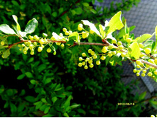 �������� ������.JPG