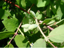 ��������� ������.JPG