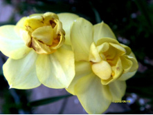 ������� �������������� ������.JPG