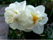 ������� ��������������.JPG