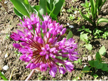 ������ ���.JPG