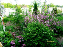 ���� ����������� ���� � �������..JPG