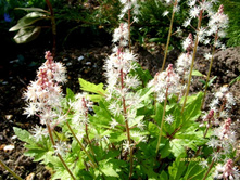 �������� ���������.JPG