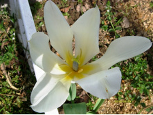 ������� �����.JPG