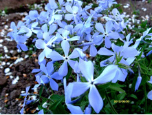 ����� �������������.JPG