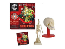 1108374 ����� 2381NSS E ������ � ����� ��������� ���  - 243,00.jpg