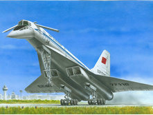 1108918 ������� 214478 ��������� ������������� ������������ - 558,00.jpg