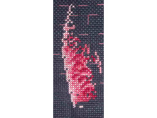 ������ ������