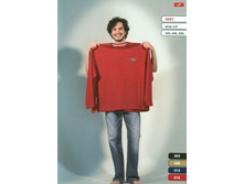 4081 (580 ���.)