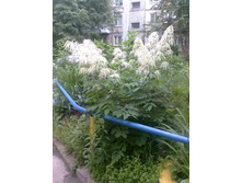 ����0097.jpg