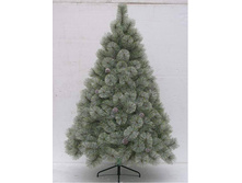 1095689 ���� 120�� ����� ������� �������� � �����  - 1950,00.jpg