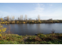 ����� ����.jpg