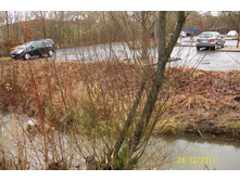 �������� ����. :-)