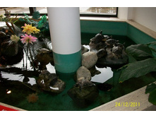 ��������.