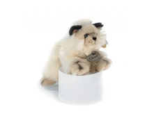 3066171 ����� 25 �� 10-354  - 307,41.jpg