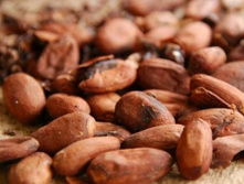 ����� ���� 81,9