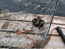 05 �����.jpg