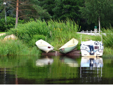 14 ������ ������.jpg