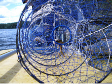 28 ���� ������.. �� �������.jpg