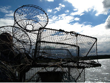 29 ����! ����! ���� ����....jpg