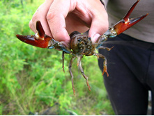 33 ������!!!!.jpg