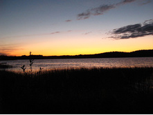 44 �����.jpg