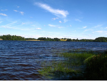 48 �������� ��� ���� ���.jpg