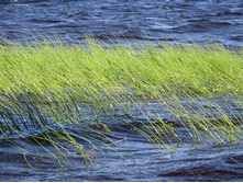 49 ����� �� ����.jpg