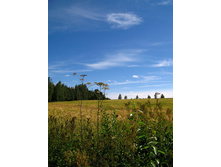 51 �� ������.jpg