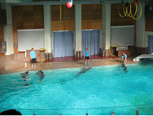 55 ���������� ��������.jpg