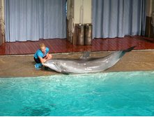 56 ����� �� ���������.jpg