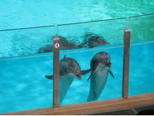 59 ����� �� ��������, ����...jpg