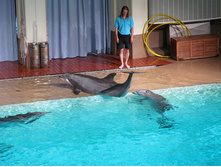 60 �����!.jpg