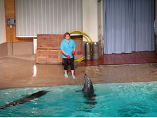 61  �������.jpg