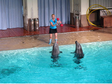 62 ������ ���.jpg