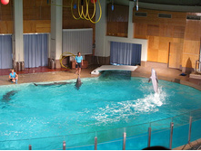 65 �������� �� ����.jpg