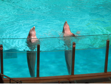 66 ����.. ����, �����!.jpg