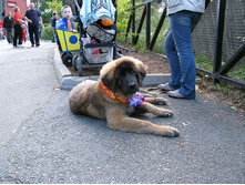 69 ���������� �����.jpg