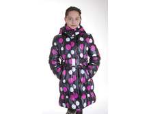 ������ ����