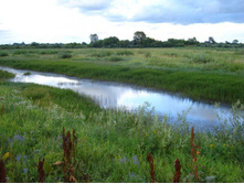 09.07.2009 19:54:18