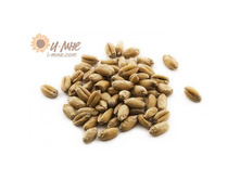 ���� ���������� ��� ������������   1��  55�