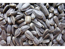 ���� �������������  30 �� ���  1 ��  50�