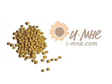 ����� ��������� \"������\"  1��   35�