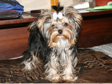 �������� ����� ��� ������ ����