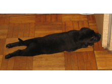 ����������...