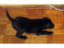 ������, ������ ����!