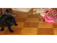 �� � ������