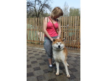 ������� ����� 044.jpg