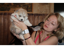 ������� ����� 001.jpg