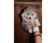 ������� ����� 002.jpg